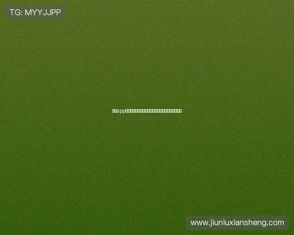 球客app免费下载官方正版体育数据分析与赛事直播平台推荐